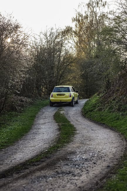 A yellow Mini Cooper vehicle is parked on a narrow, uneven gravel lane surrounded by green grass and dense trees with bare branches, suggesting early spring or late autumn. The scene is illuminated by natural daylight, with some sunlight filtering through the sparse foliage. This rural setting may present challenges for home relocation or furniture transport due to the limited access and rough surface, emphasizing the need for careful vehicle positioning and possible assistance from [COMPANY_NAME] during the loading and unloading process for moves in areas with narrow pathways, aligning with services related to removals and moving logistics.