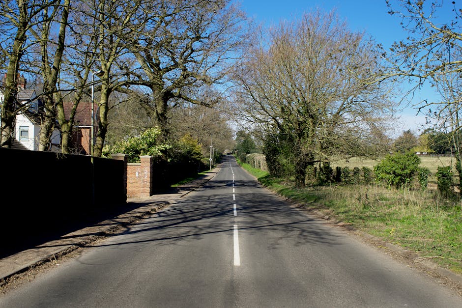 A narrow, unpaved country lane bordered by thick, lush green trees with dense foliage on both sides. The dirt track has two parallel tire tracks with grass and small plants growing between them, leading towards a distant point where the trees form a canopy overhead. Soft, natural daylight filters through the leaves, creating a mix of light and shadow along the pathway. The scene is calm and rural, evoking a sense of quiet journey or local navigation, which aligns with house removals and moving logistics like navigating narrow access routes for furniture transport. Man with Van Lampton might use such routes during home relocation to move furniture and boxes efficiently through limited access points, employing loading processes suited for tight spaces and making careful use of packing materials and equipment visible in their professional service.